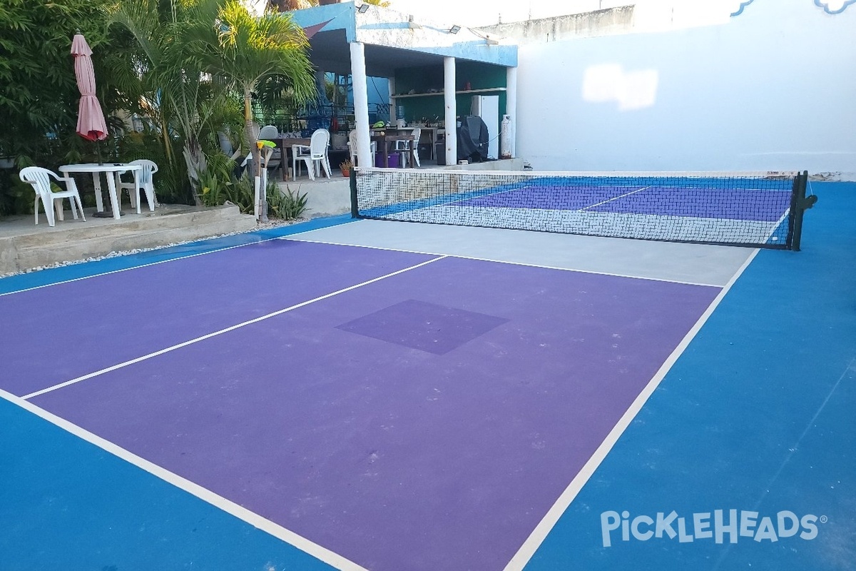 Photo of Pickleball at Progreso Pickleball